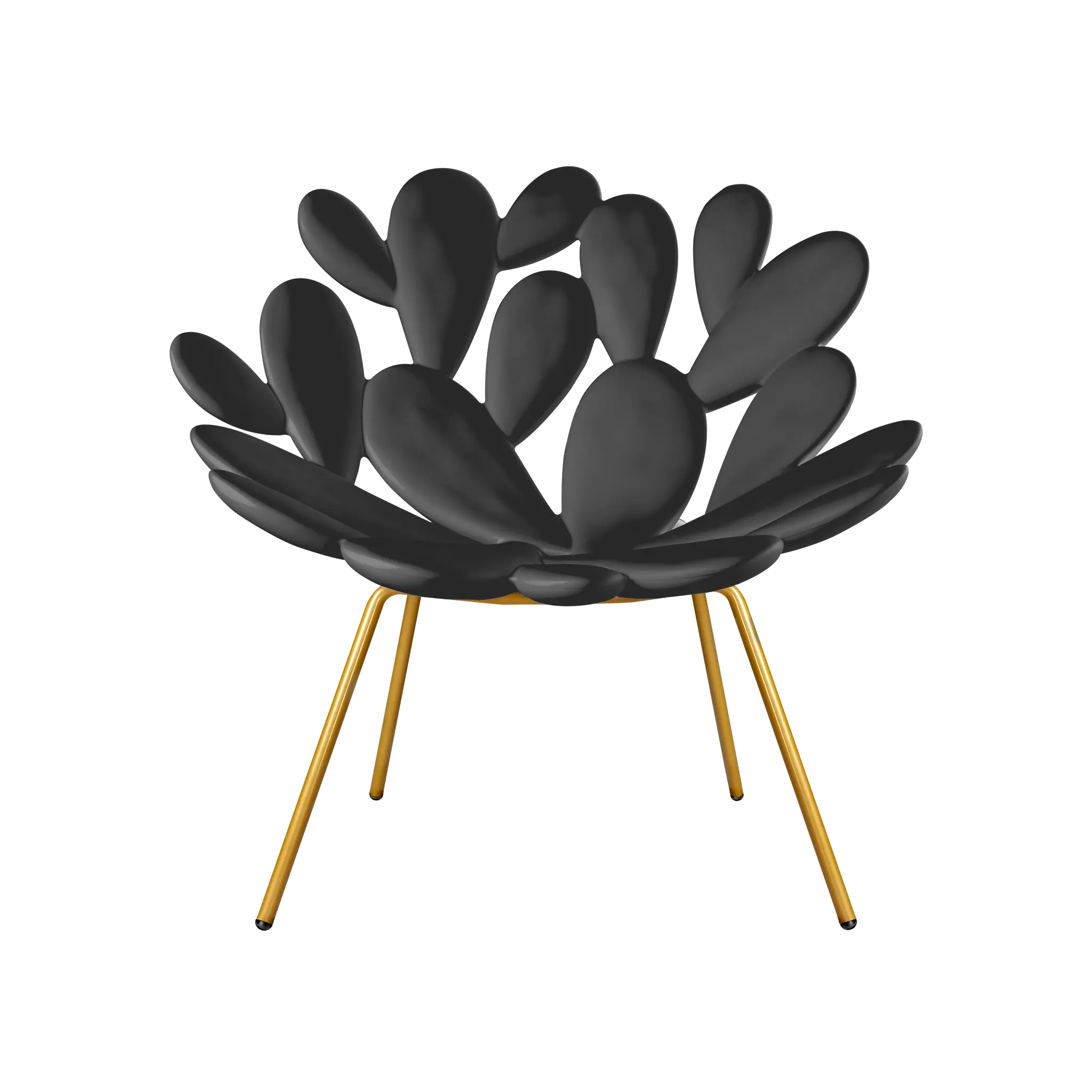 Qeeboo 仙人掌造型扶手椅 FILICUDI ARMCHAIR by Marcantonio 圖 3